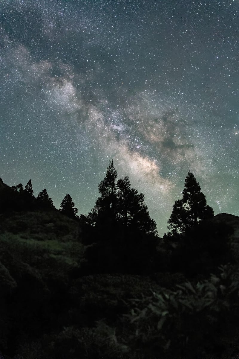 Milky Way Travel