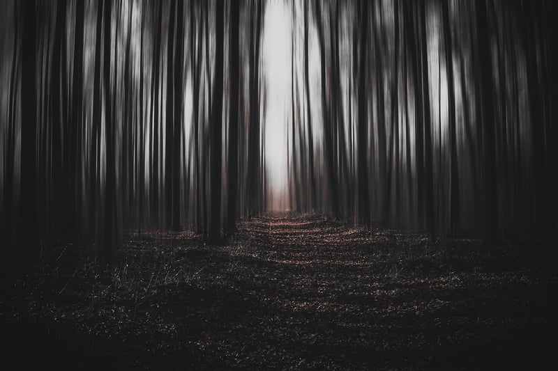 Parallel Universes